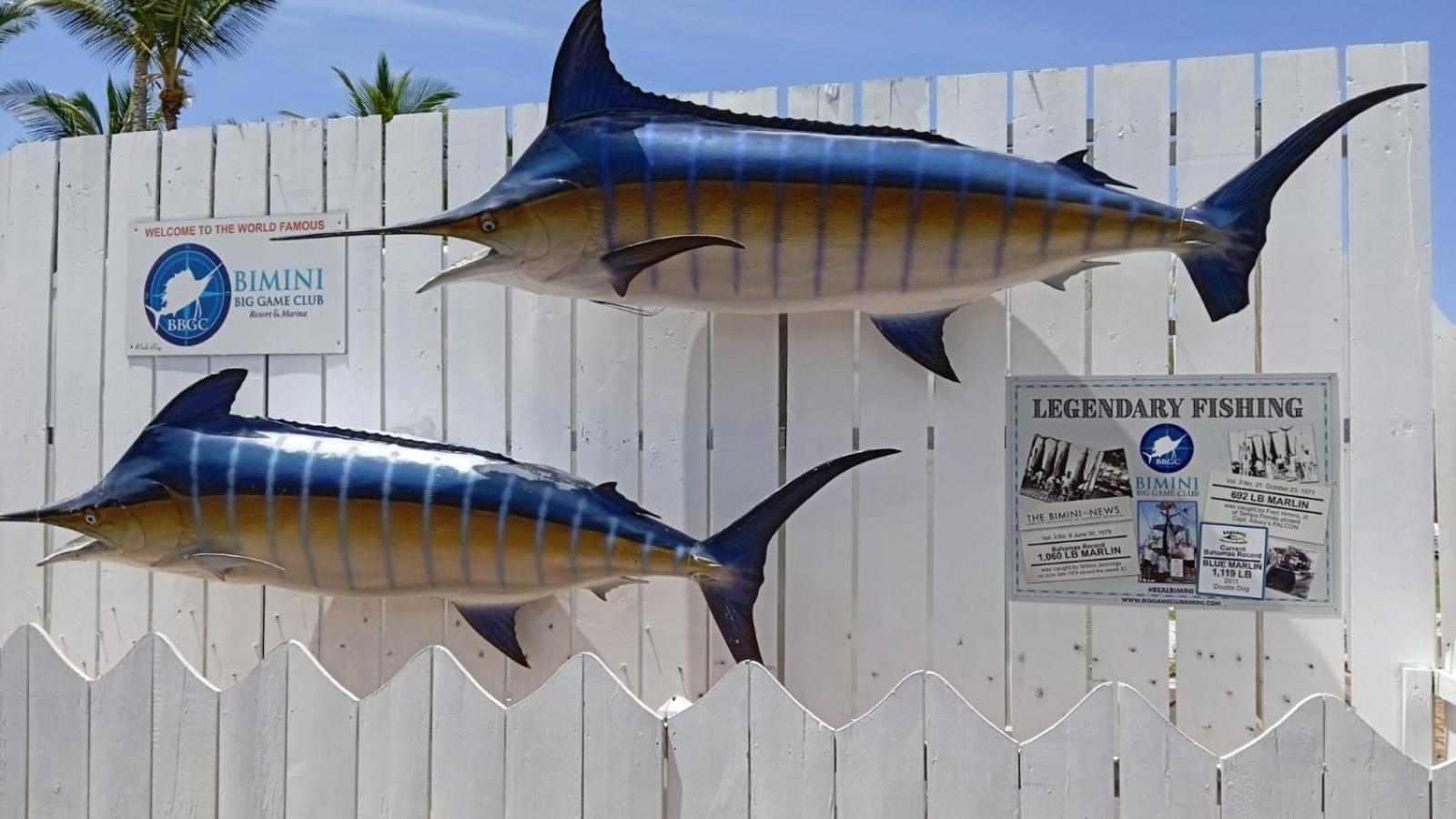Bimini Big Game Club Resort & Marina Alice Town  Buitenkant foto