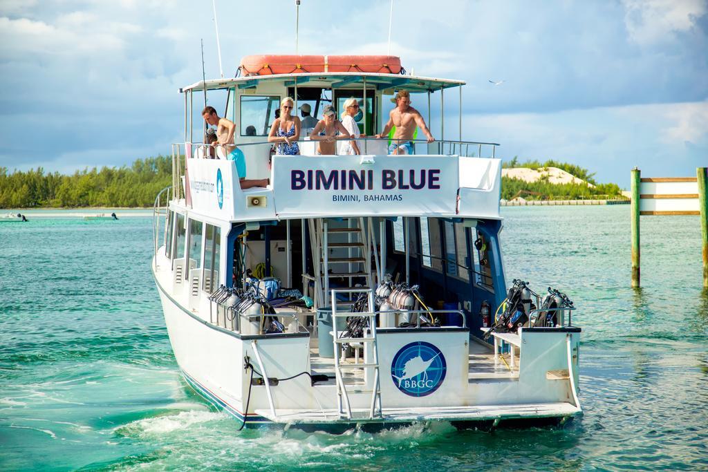 Bimini Big Game Club Resort & Marina Alice Town  Buitenkant foto